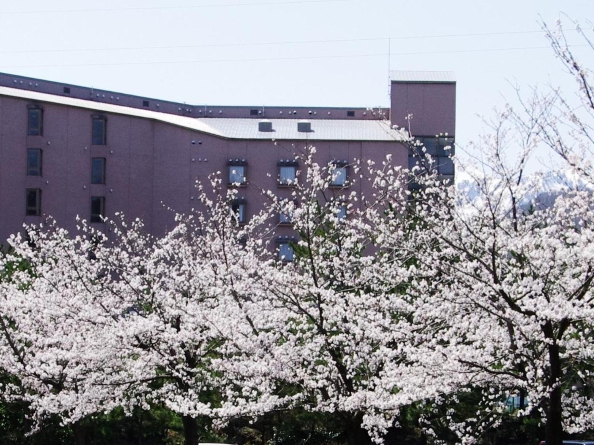 Hotel Kunitomi Annex - Vacation Stay 12072V 이토이가와 외부 사진